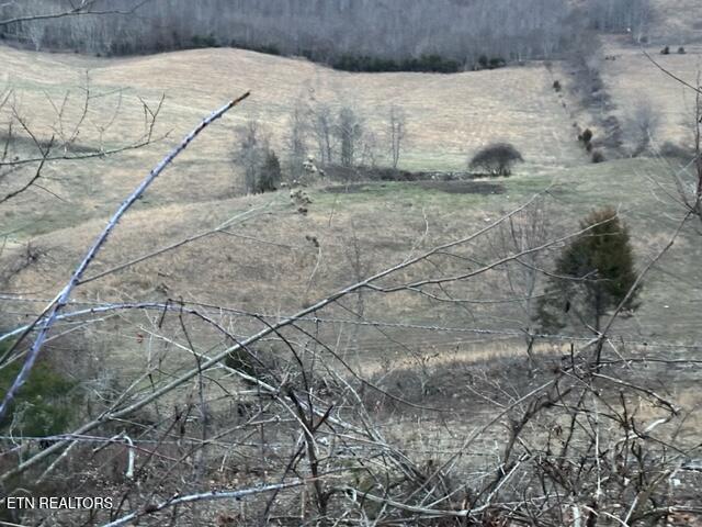 933 Frog Level Road Harrogate, TN 37752 - Photo 20 of 36 IMG_4038