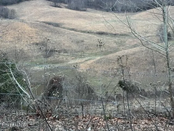$349,000 | 933 Frog Level Road, Harrogate, TN 37752