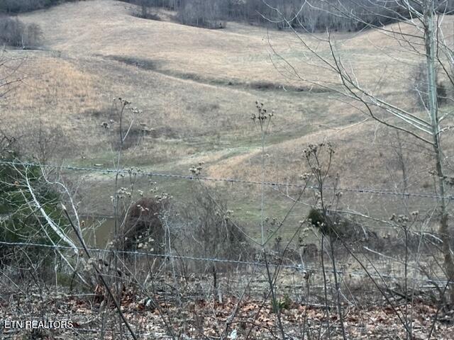 933 Frog Level Road Harrogate, TN 37752 - Photo 22 of 36 IMG_4040