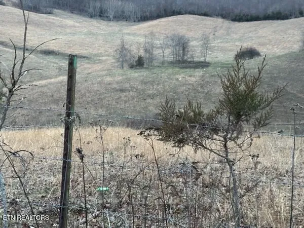$349,000 | 933 Frog Level Road, Harrogate, TN 37752