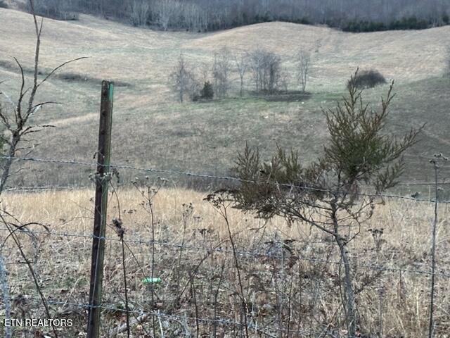 933 Frog Level Road Harrogate, TN 37752 - Photo 24 of 36 IMG_4042 (1)