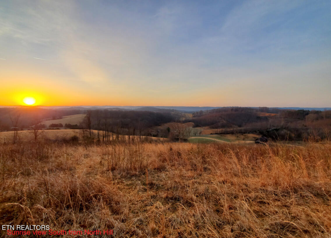 933 Frog Level Road Harrogate, TN 37752 - Photo 4 of 36 IMG_7597