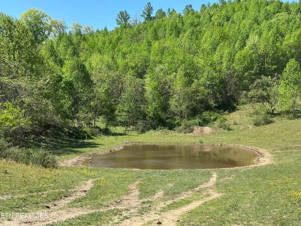 $349,000 | 933 Frog Level Road, Harrogate, TN 37752