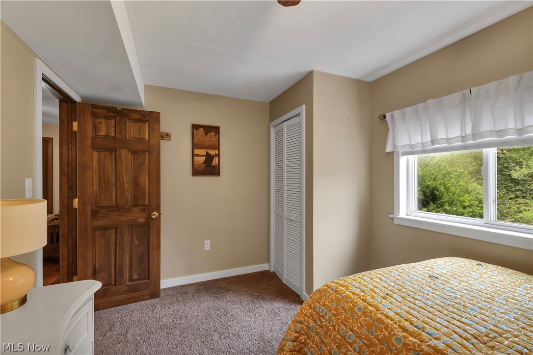 8704 Columbia Road Olmsted Falls, OH 44138 - Photo 21 of 34 Bedroom with warm neutral wall tones and a plush brown carpet