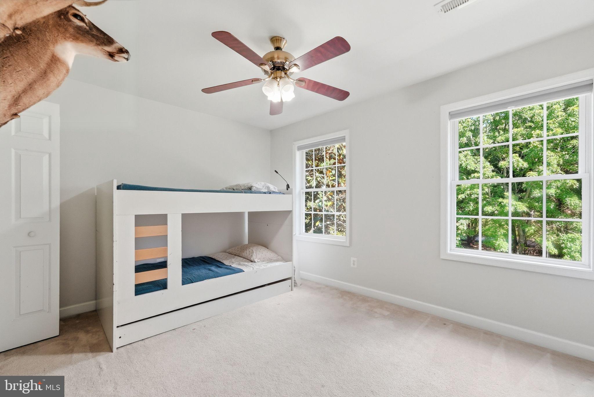18198 Springs Road Jeffersonton, VA 22724 - Photo 45 of 80 Bedroom #3