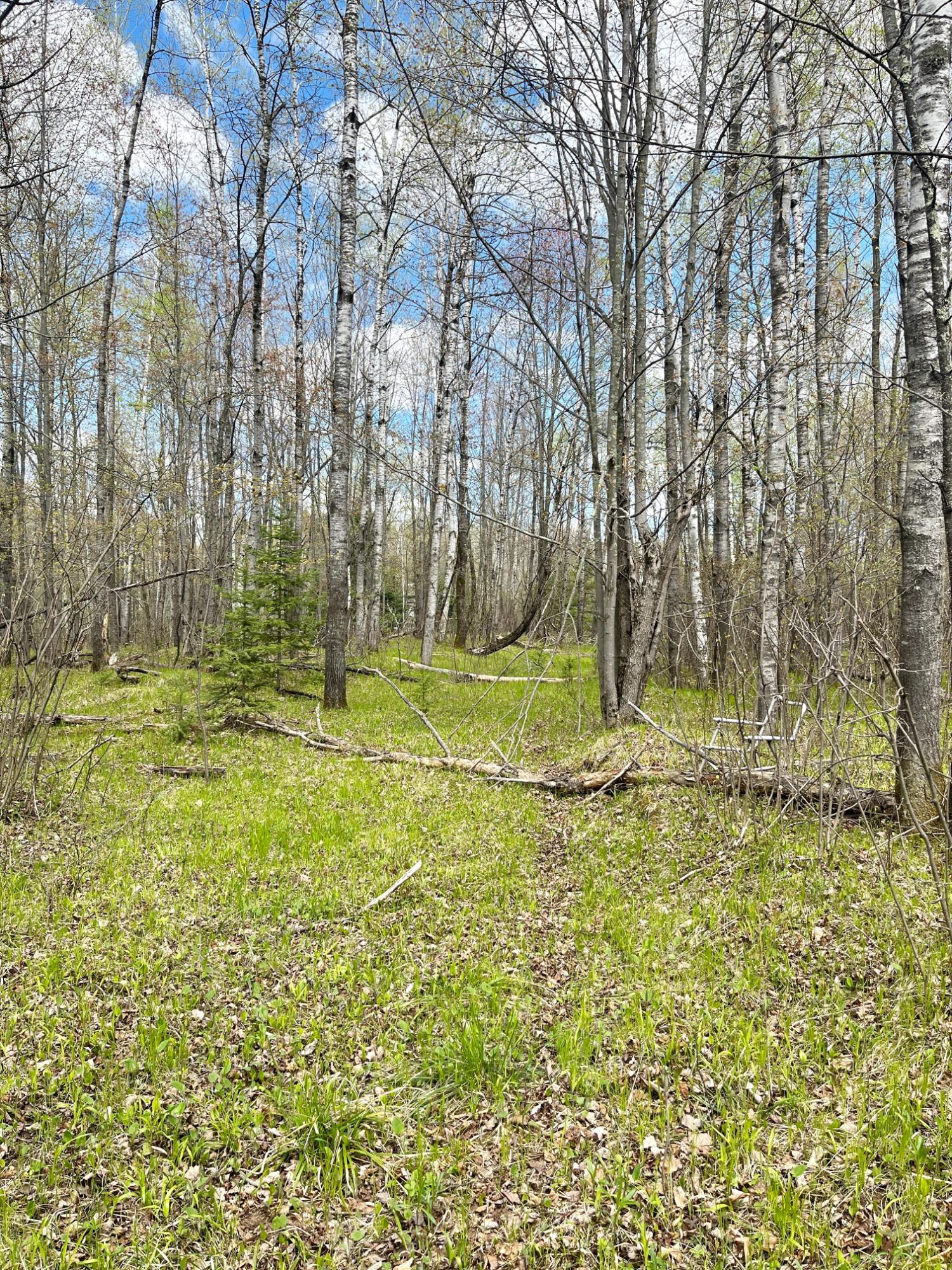 On East Soo Lake Road Phillips, WI 54555 - Photo 8 of 23 Gallery Image 8
