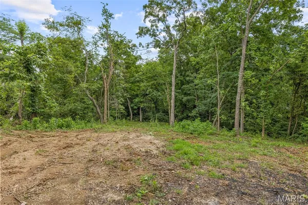 $38,000 | 9793 Grove Drive, Bonne Terre, MO 63628