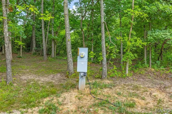 $38,000 | 9793 Grove Drive, Bonne Terre, MO 63628