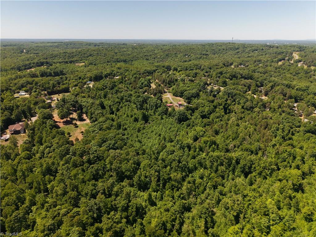 0 Fuller Mill Road North Thomasville, NC 27360 - Photo 21 of 22