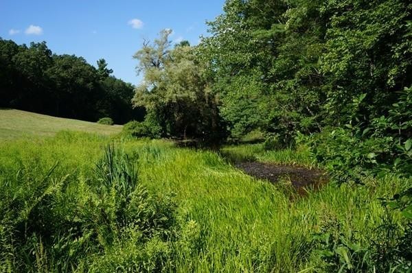 175 Littleton County Road Harvard, MA 01451 - Photo 8 of 16