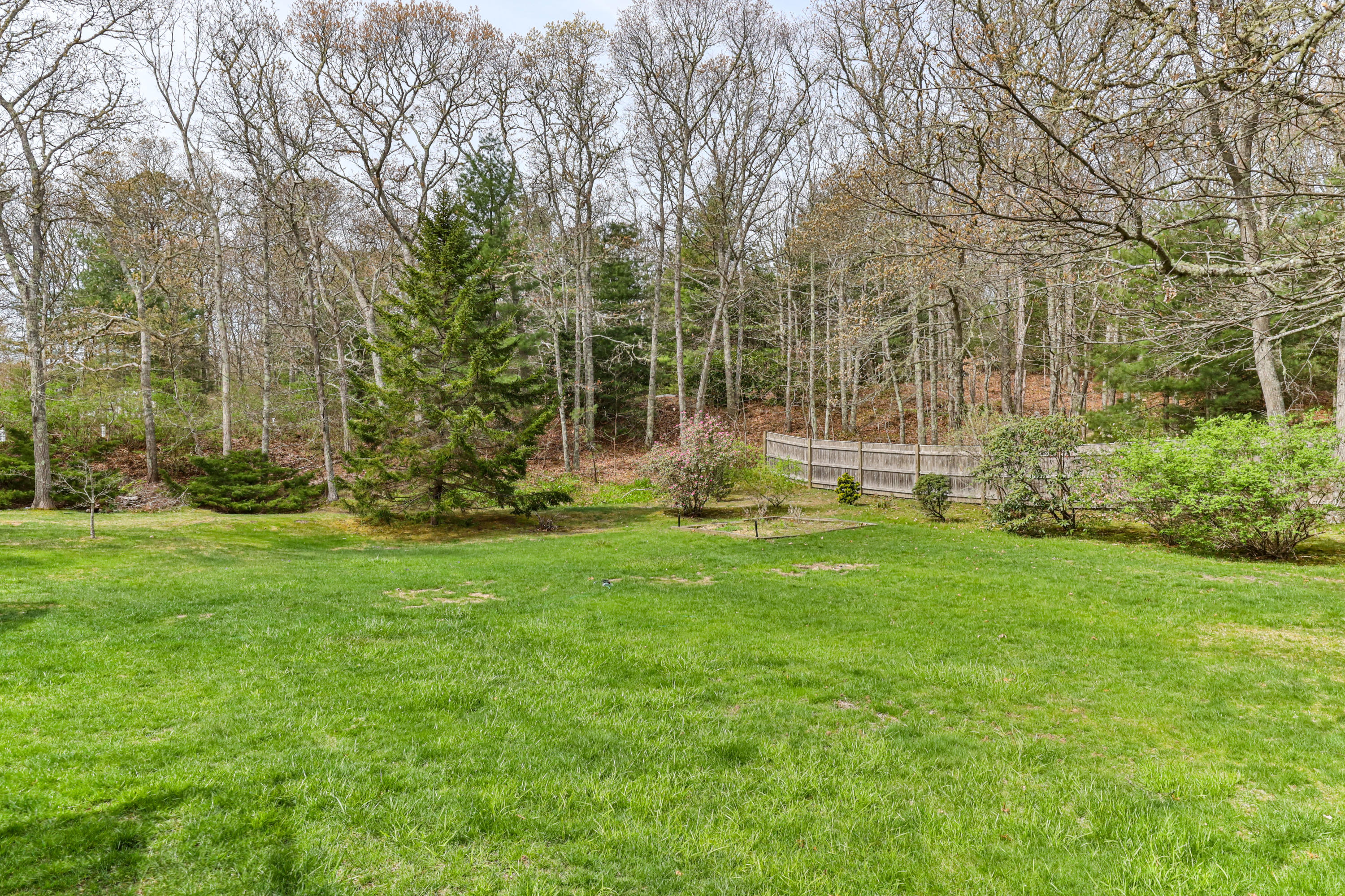 194 Cedar Tree Neck Road Marstons Mills, MA 02648 - Photo 52 of 58 yard looking SW