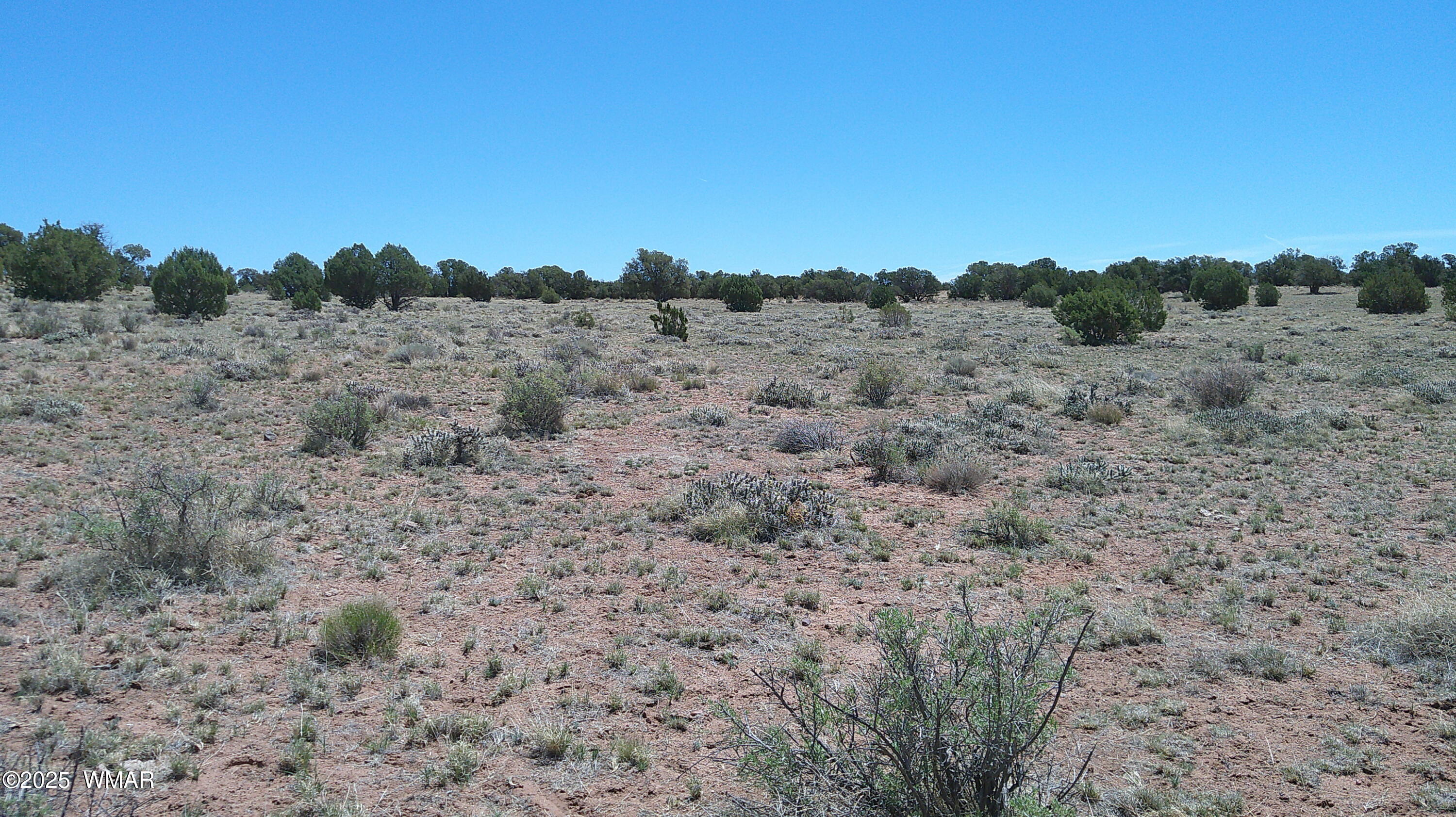 Tbd Tbd Rio Ranch Concho, AZ 85924 - Photo 15 of 44 DSCF0031