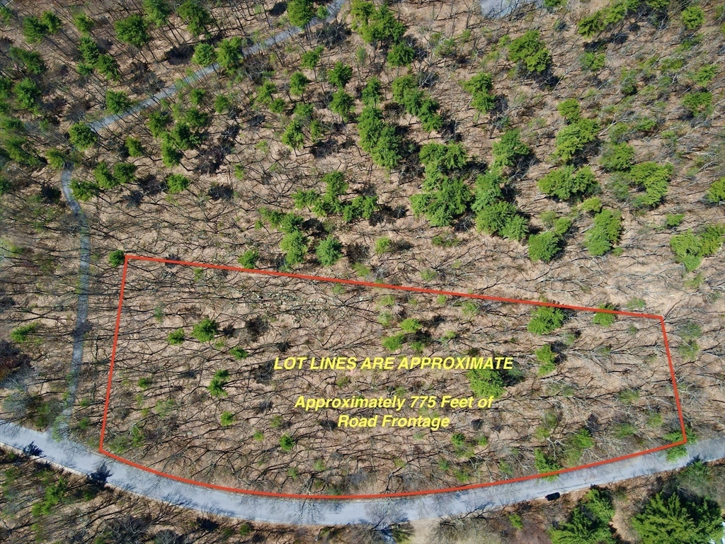 90 Corn Road Bolton, MA 01740 - Photo 2 of 11 a view of a garden