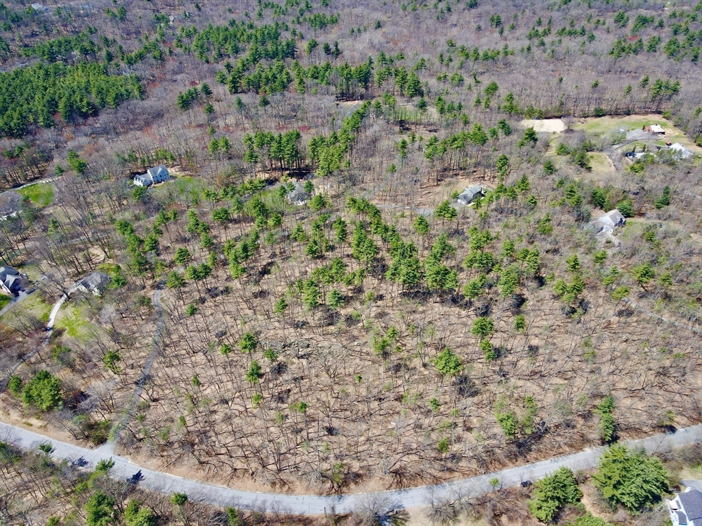 90 Corn Road Bolton, MA 01740 - Photo 5 of 11 a view of a garden with a pathway