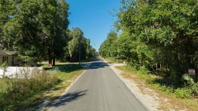 a view of a yard with plants