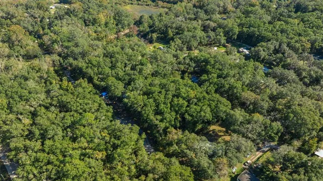 view of a lots of trees and bushes