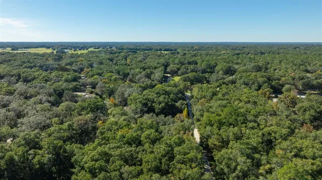 a view of a green field