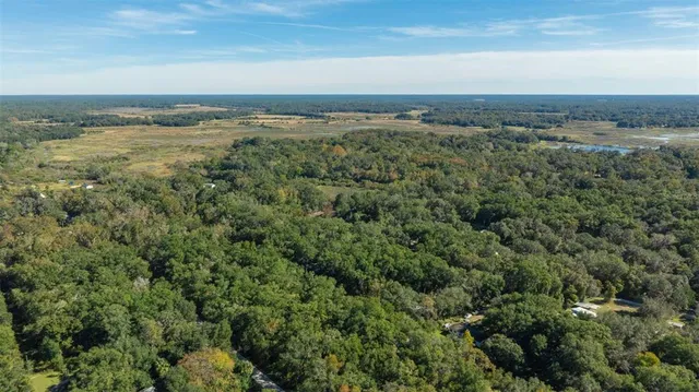 an aerial view of residential building and green space