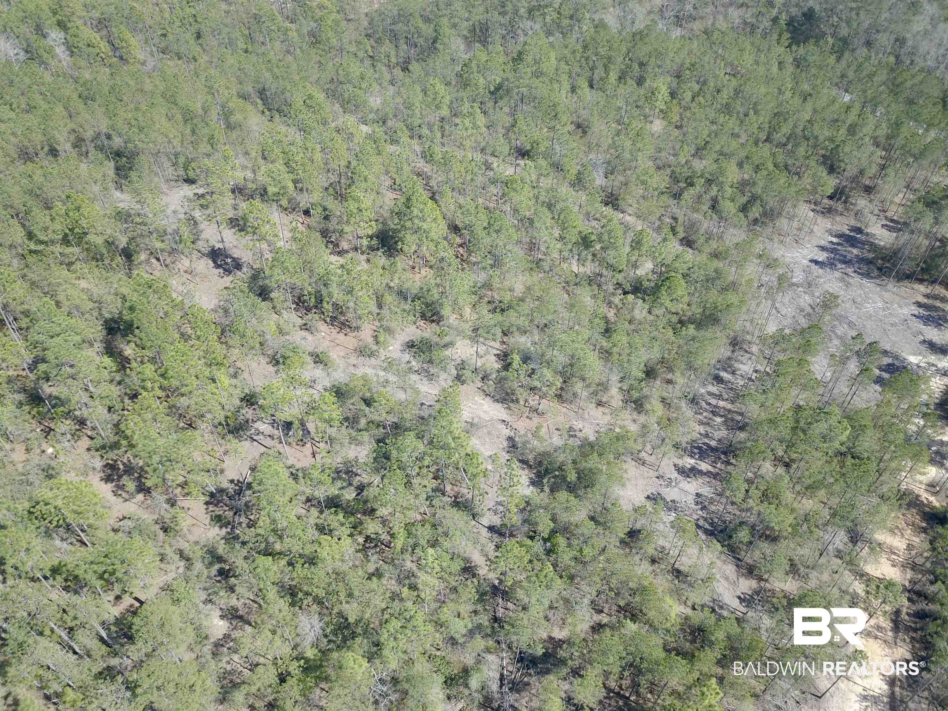 8557 County Road 34 Millry, AL 36558 - Photo 3 of 36 Aerial view featuring a view of trees