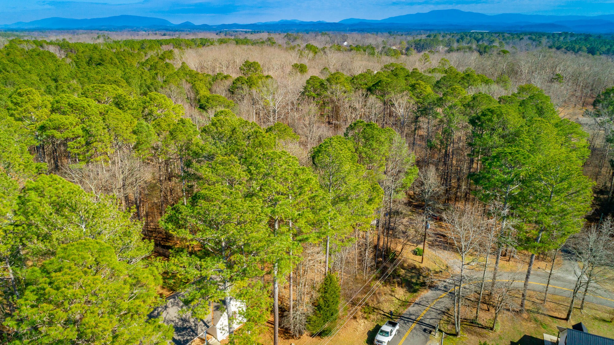 0 Green Shadow Road Southeast Cleveland, TN 37323 - Photo 13 of 14 Gallery Image 13