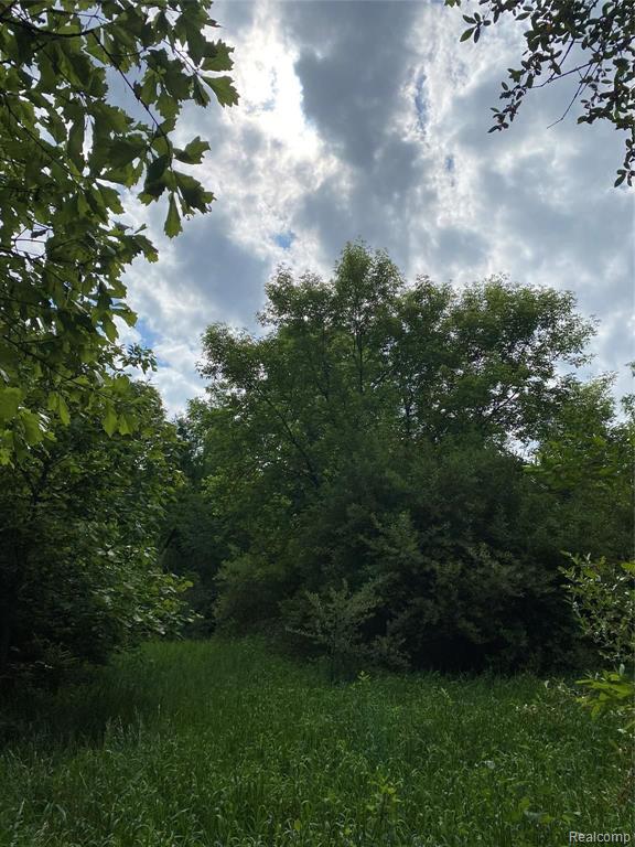 0 Kaiser Road Gregory, MI 48137 - Photo 19 of 29