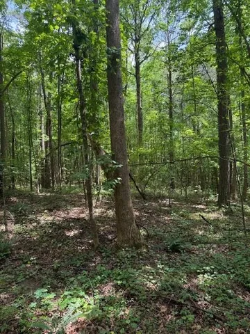 $534,900 | 410 North Sharp Mtn Church Lane, Ball Ground, GA 30107