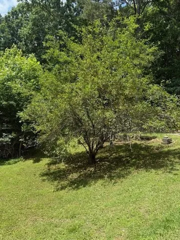 $534,900 | 410 North Sharp Mtn Church Lane, Ball Ground, GA 30107