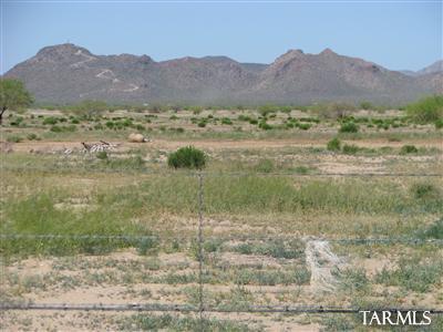 6482 North Anway Road, Unit 178 Marana, AZ 85653 - Photo 1 of 4