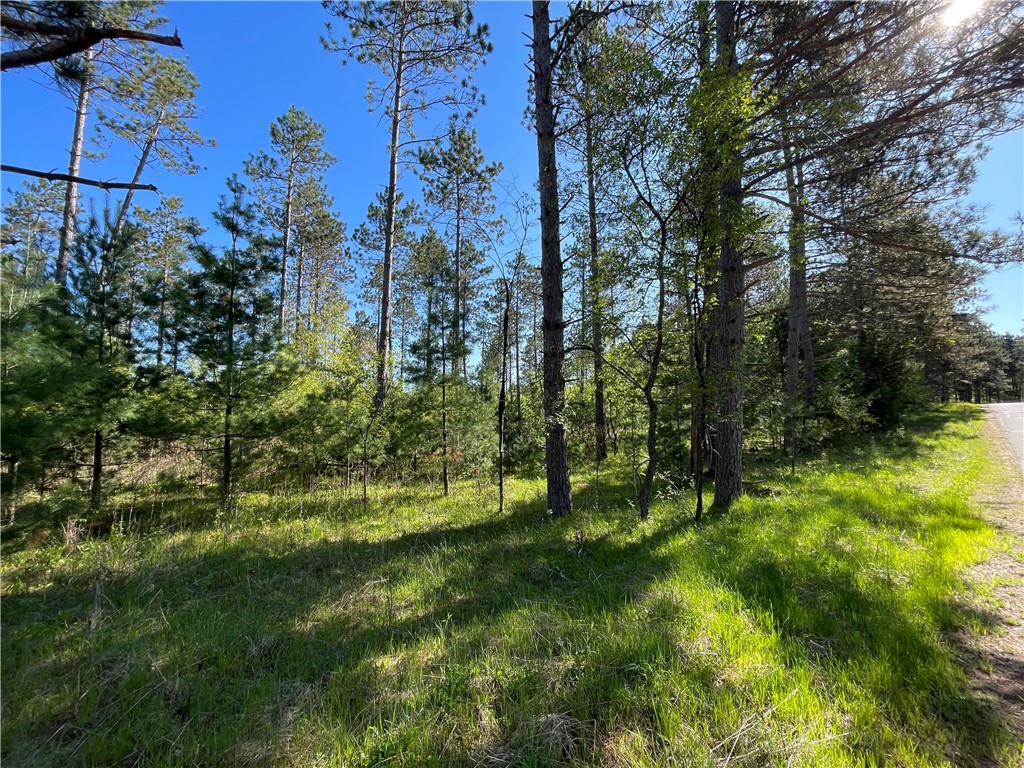 Lot 2 Murphy Boulevard Hayward, WI 54843 - Photo 7 of 10