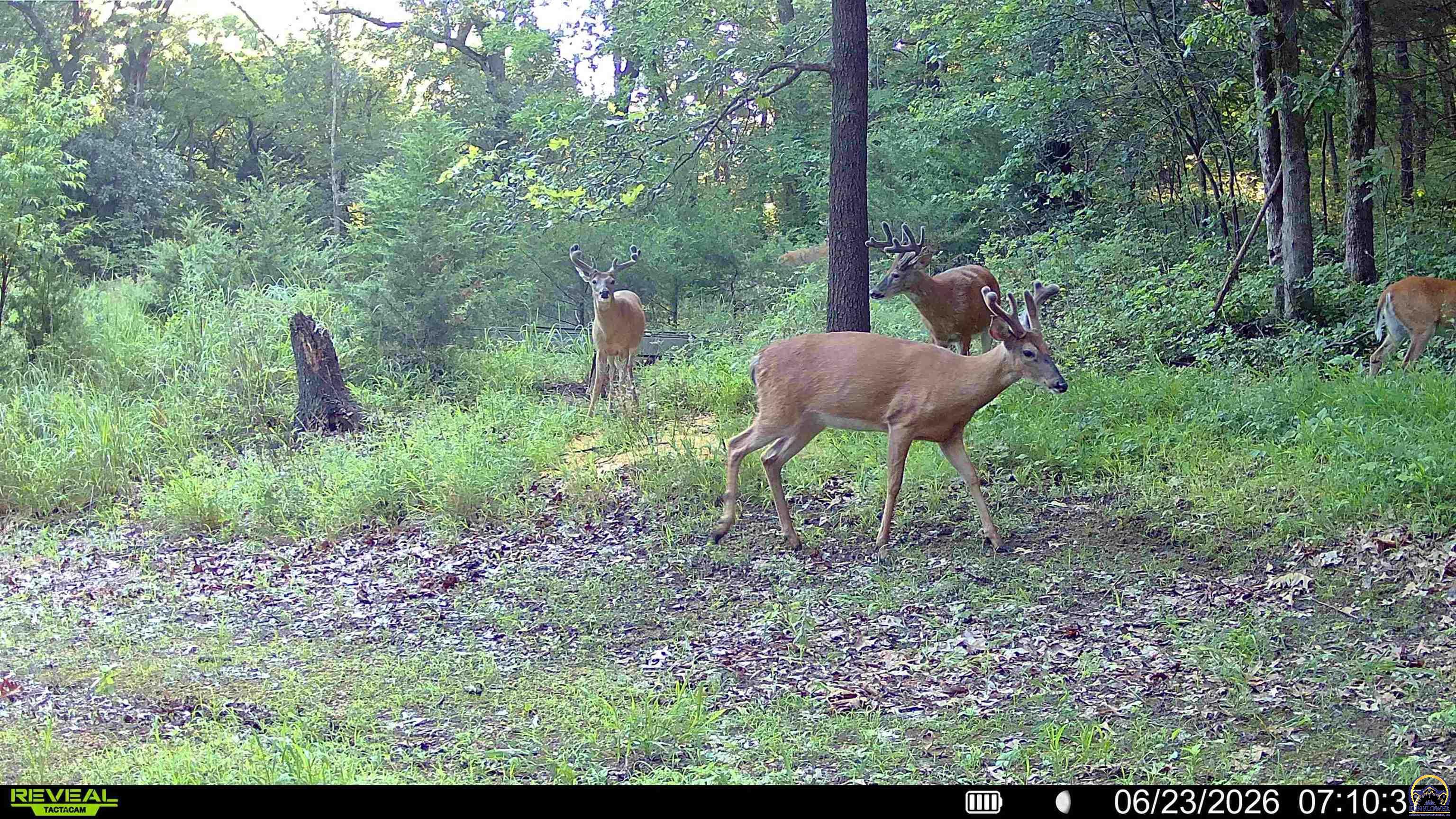 1757 Buck Creek Road Perry, KS 66073 - Photo 88 of 90