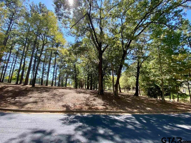 a view of road with trees