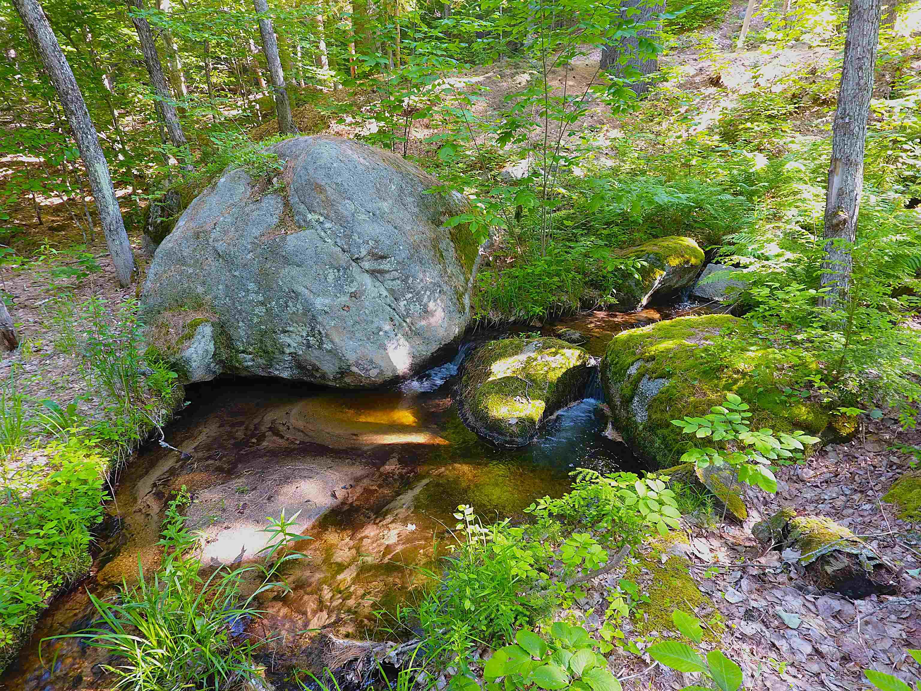 443 Greeley Road Conway, NH 03813 - Photo 41 of 49