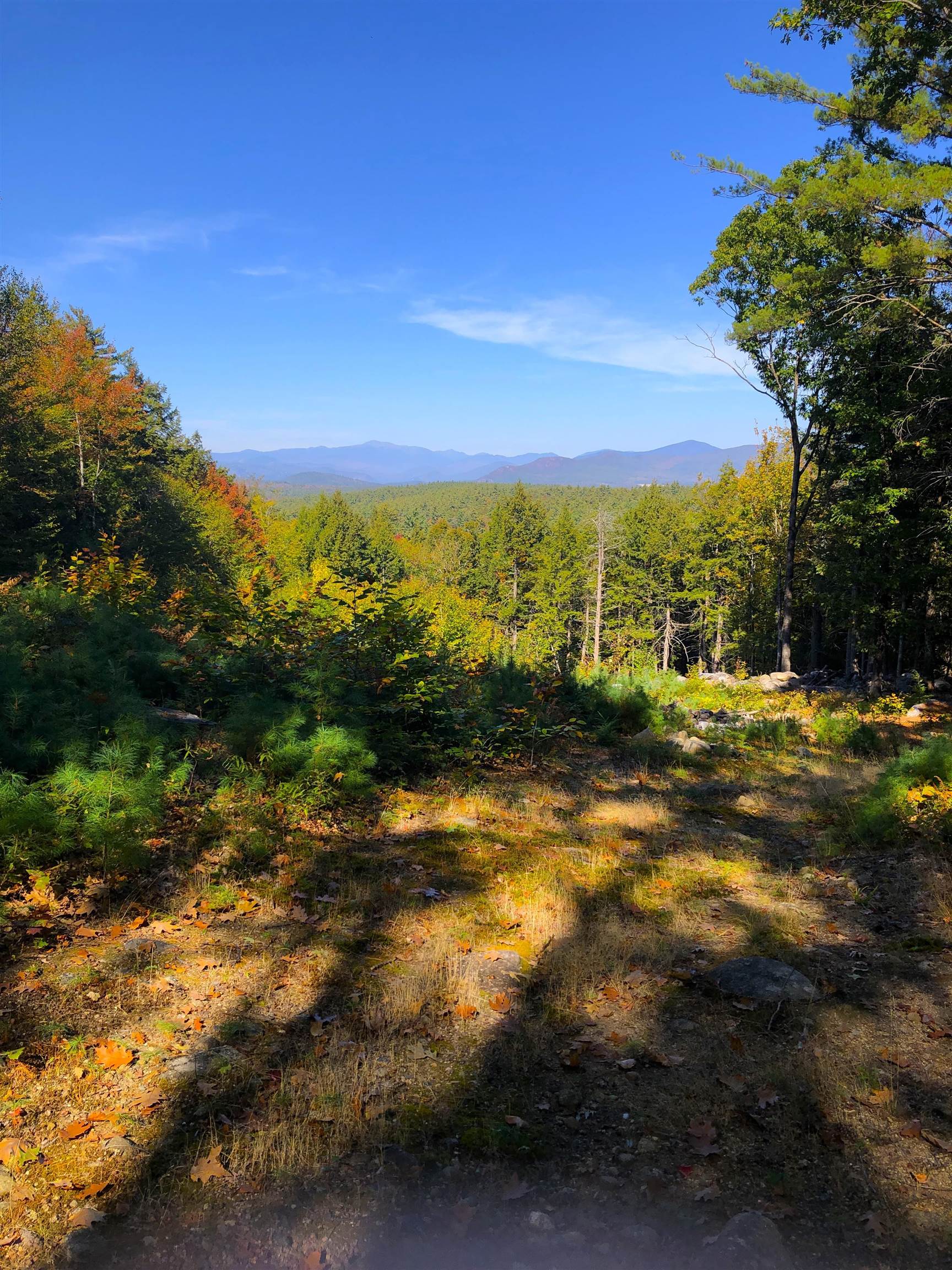 443 Greeley Road Conway, NH 03813 - Photo 45 of 49