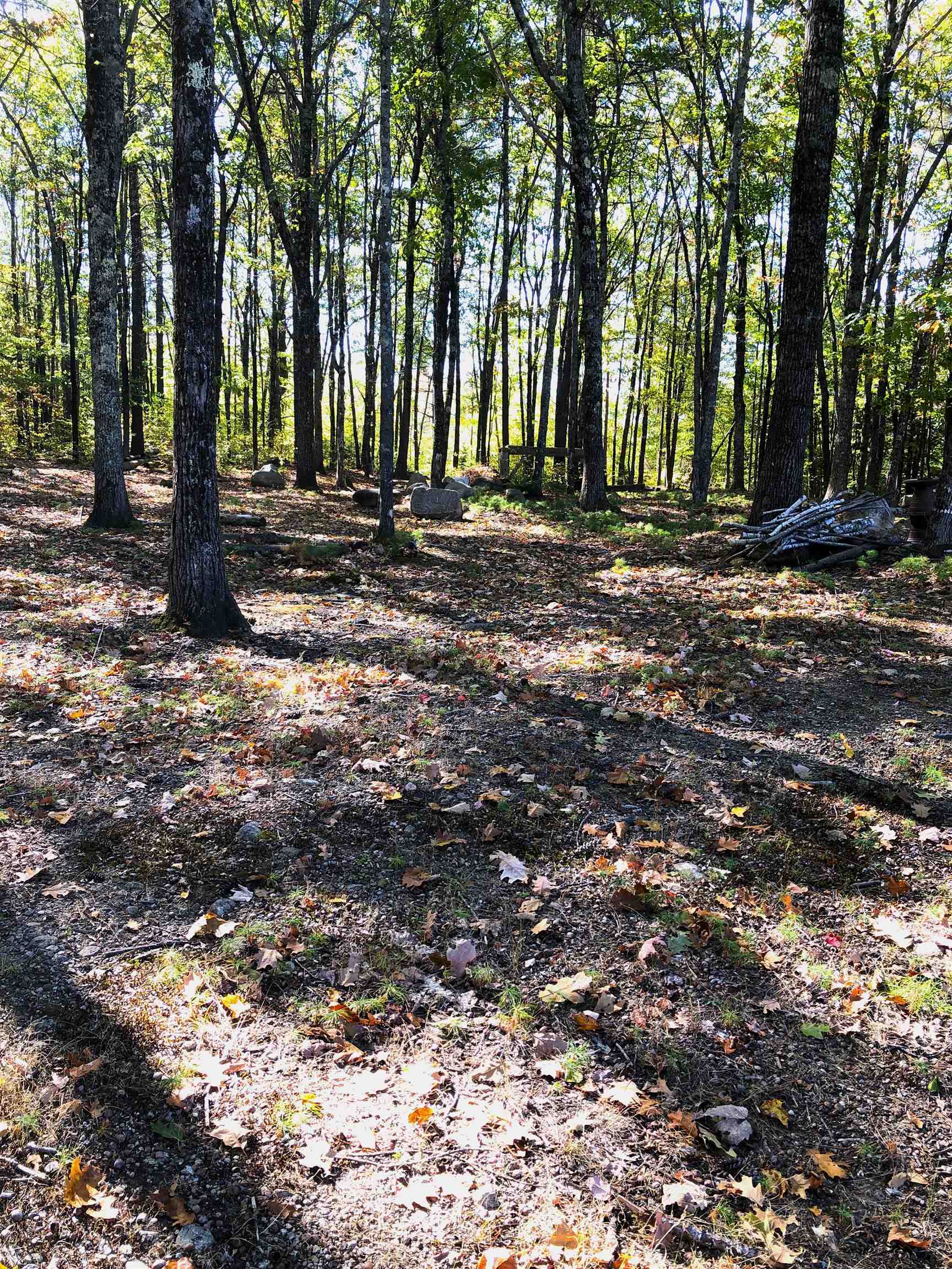 443 Greeley Road Conway, NH 03813 - Photo 46 of 49