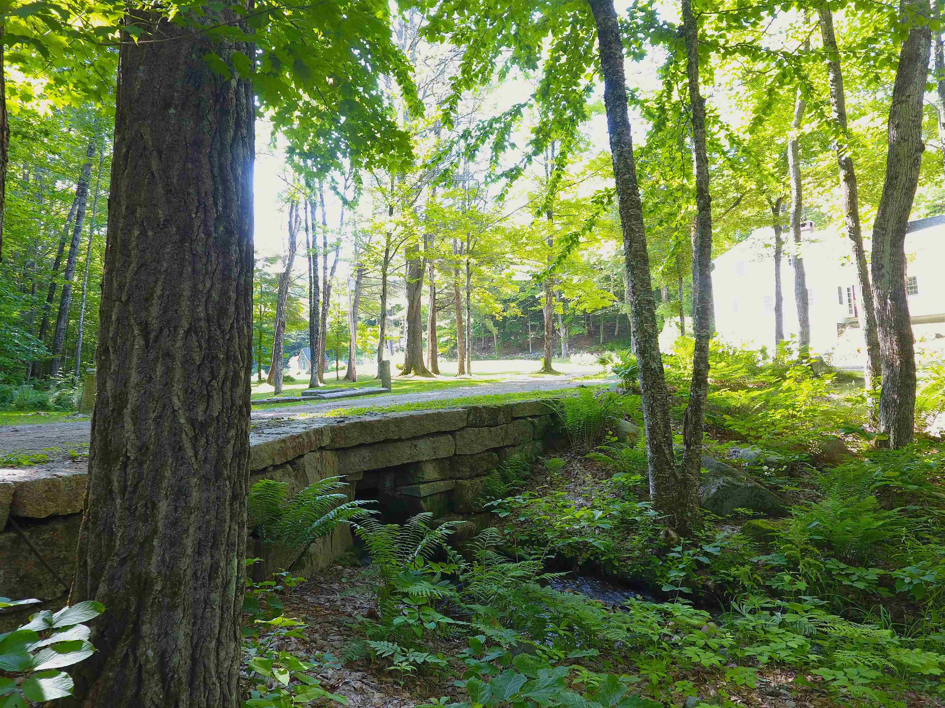 443 Greeley Road Conway, NH 03813 - Photo 7 of 49