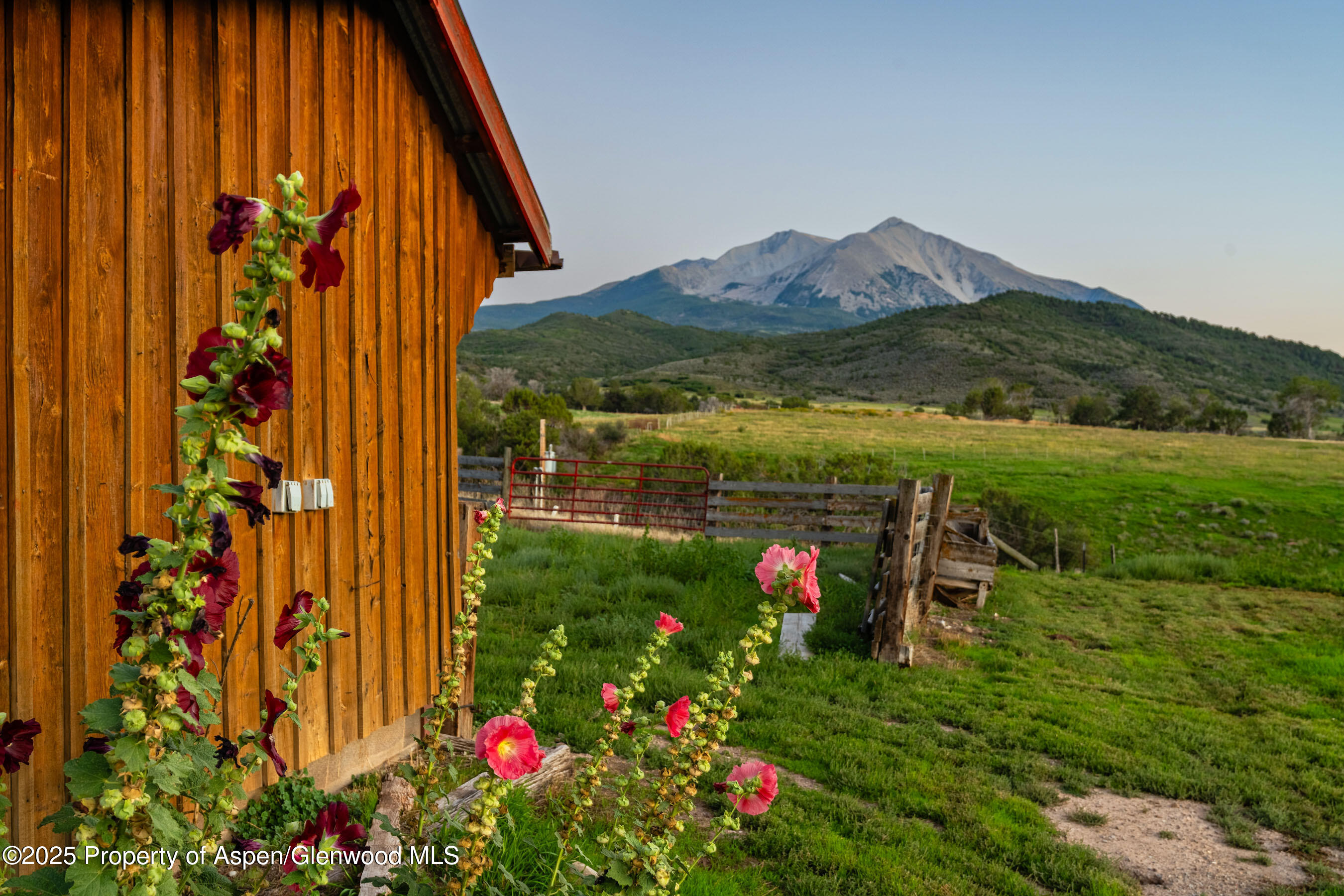 1644 Prince Creek Road Carbondale, CO 81623 - Photo 11 of 80 a view of outdoor space