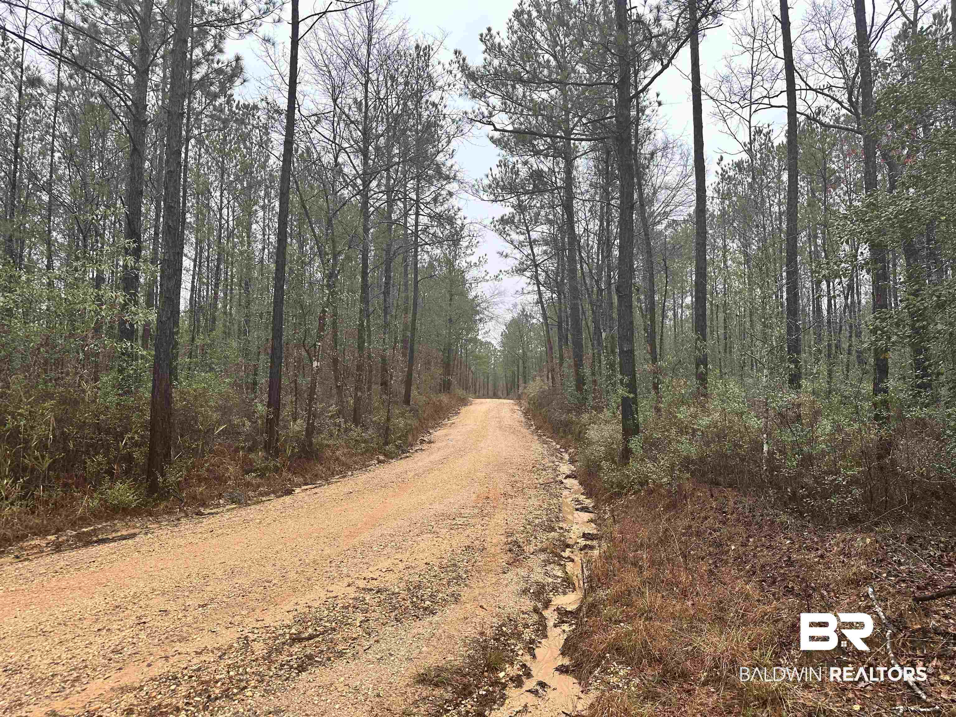 4549 J D Howard Road Tibbie, AL 36583 - Photo 30 of 33