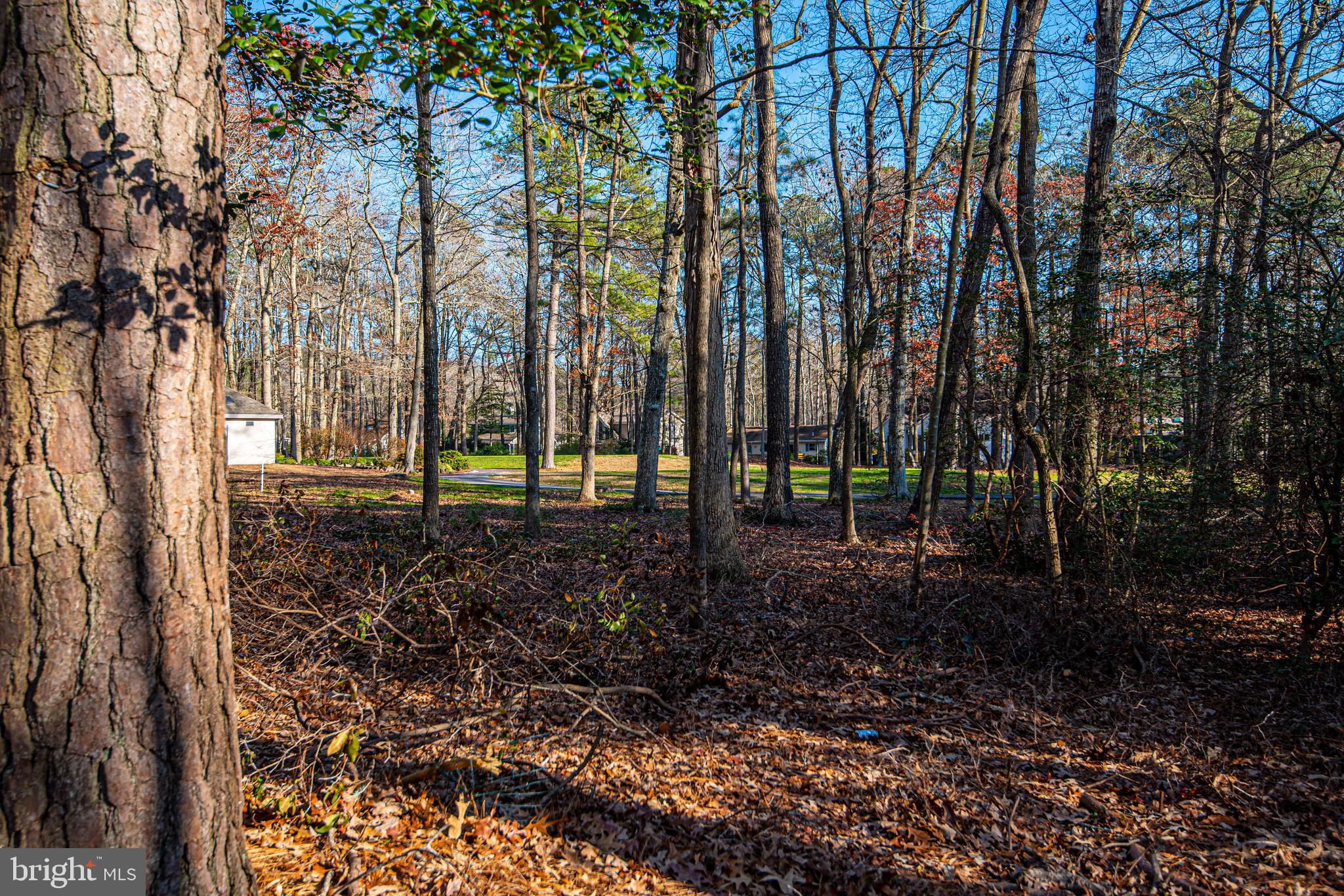 101 Windjammer Road Ocean Pines, MD 21811 - Photo 45 of 60