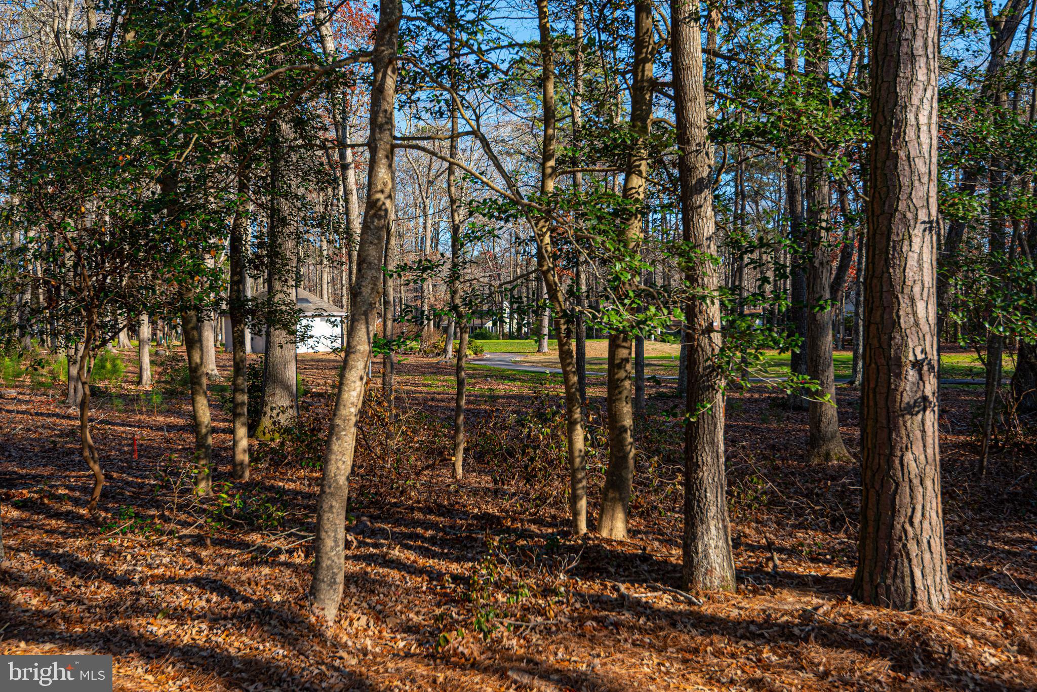 101 Windjammer Road Ocean Pines, MD 21811 - Photo 10 of 60