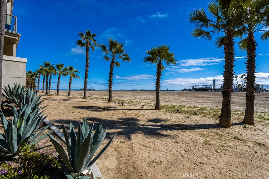 1000 East Ocean Boulevard, Unit 613 Long Beach, CA 90802 - Photo 61 of 65