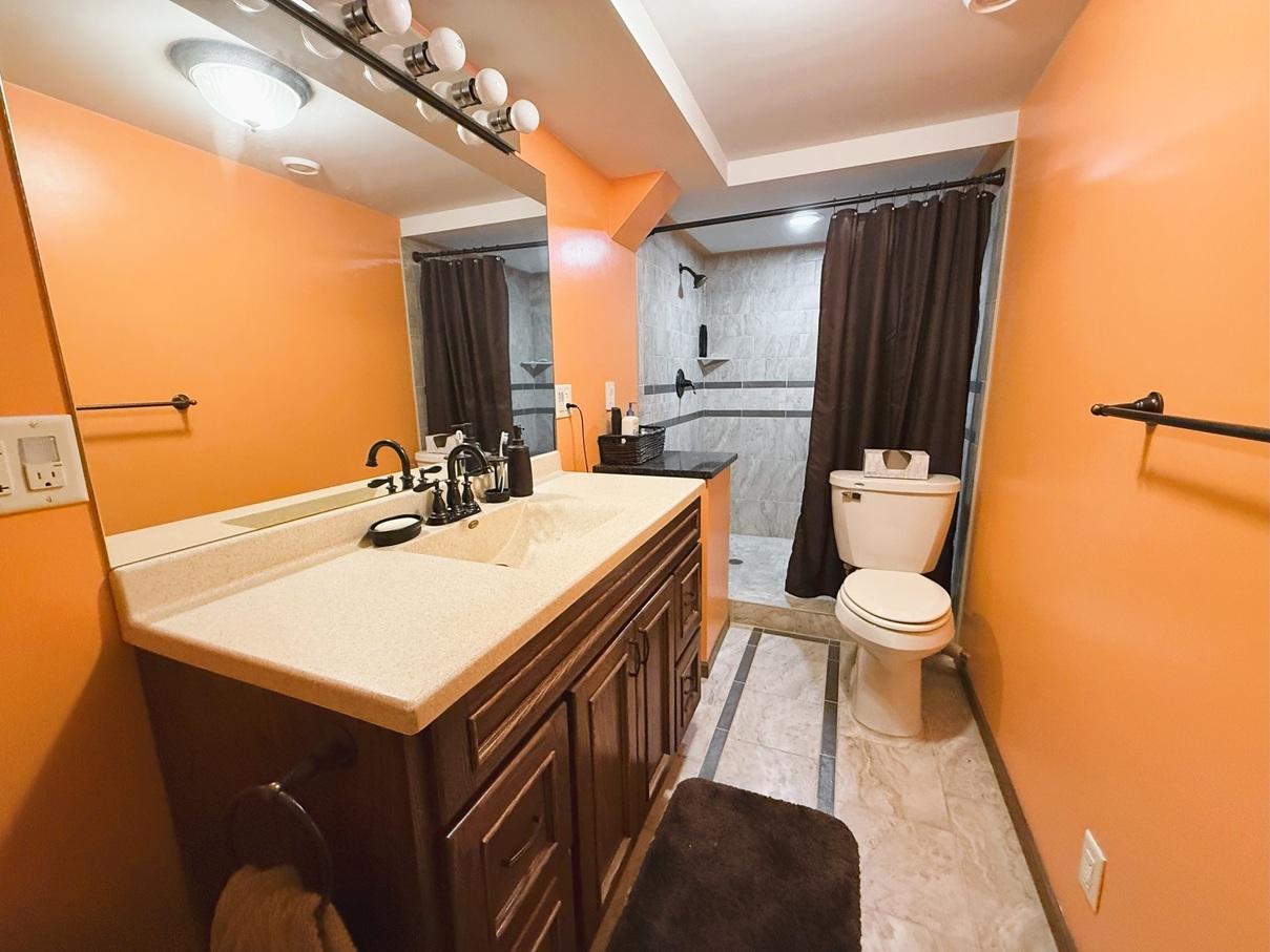 300 Fieldstone Lane Dixon, IL 61021 - Photo 20 of 34 a bathroom with a sink a toilet a mirror and shower