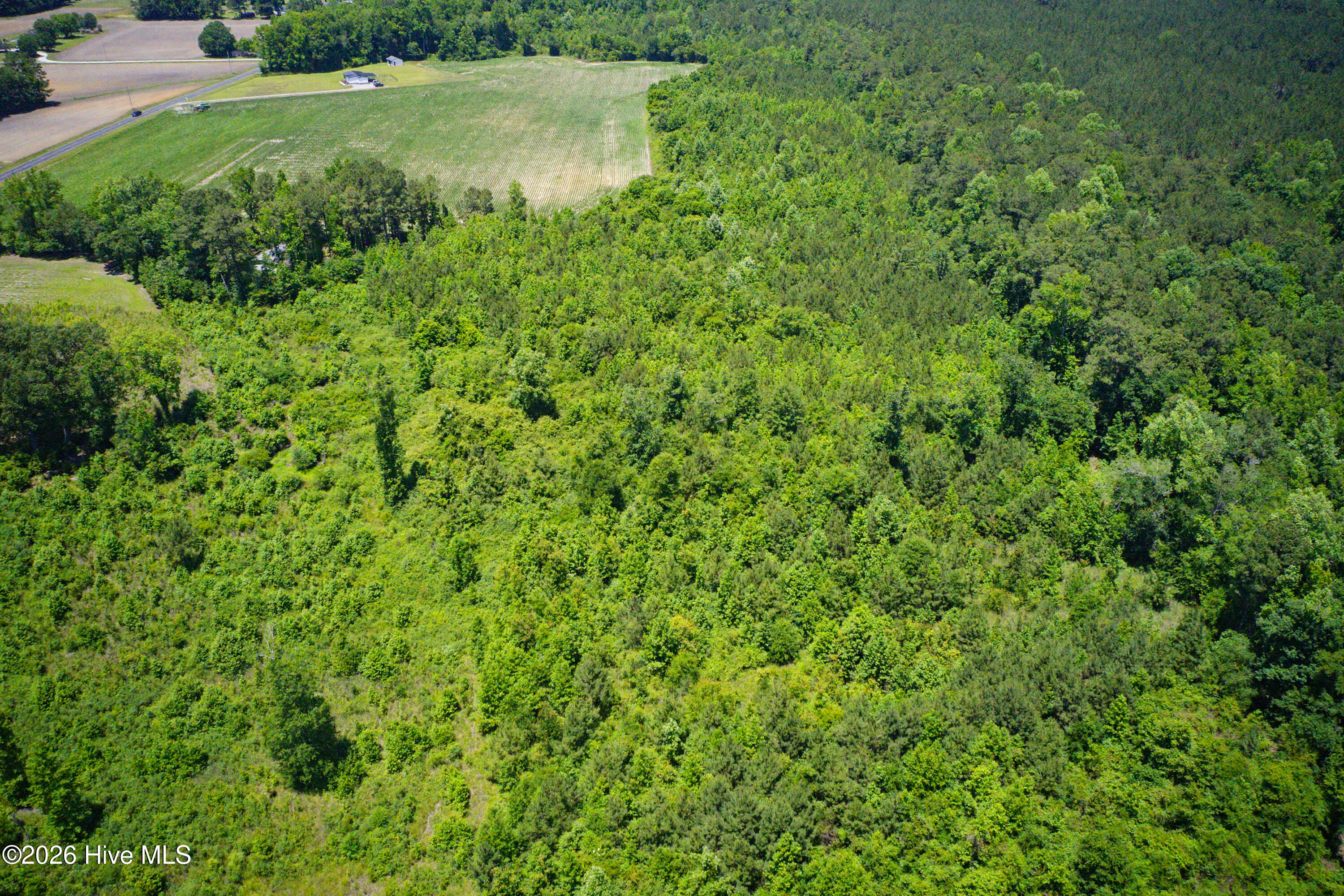 6615 Silver Spoon Road Clarkton, NC 28433 - Photo 15 of 53 MLS_Ready (7 of 40)