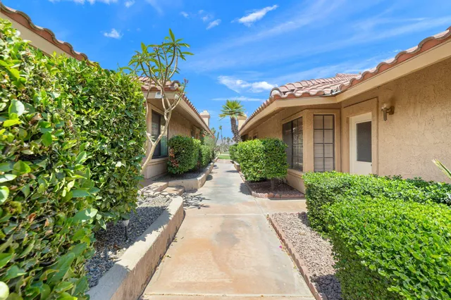 a view of a pathway with flower plants