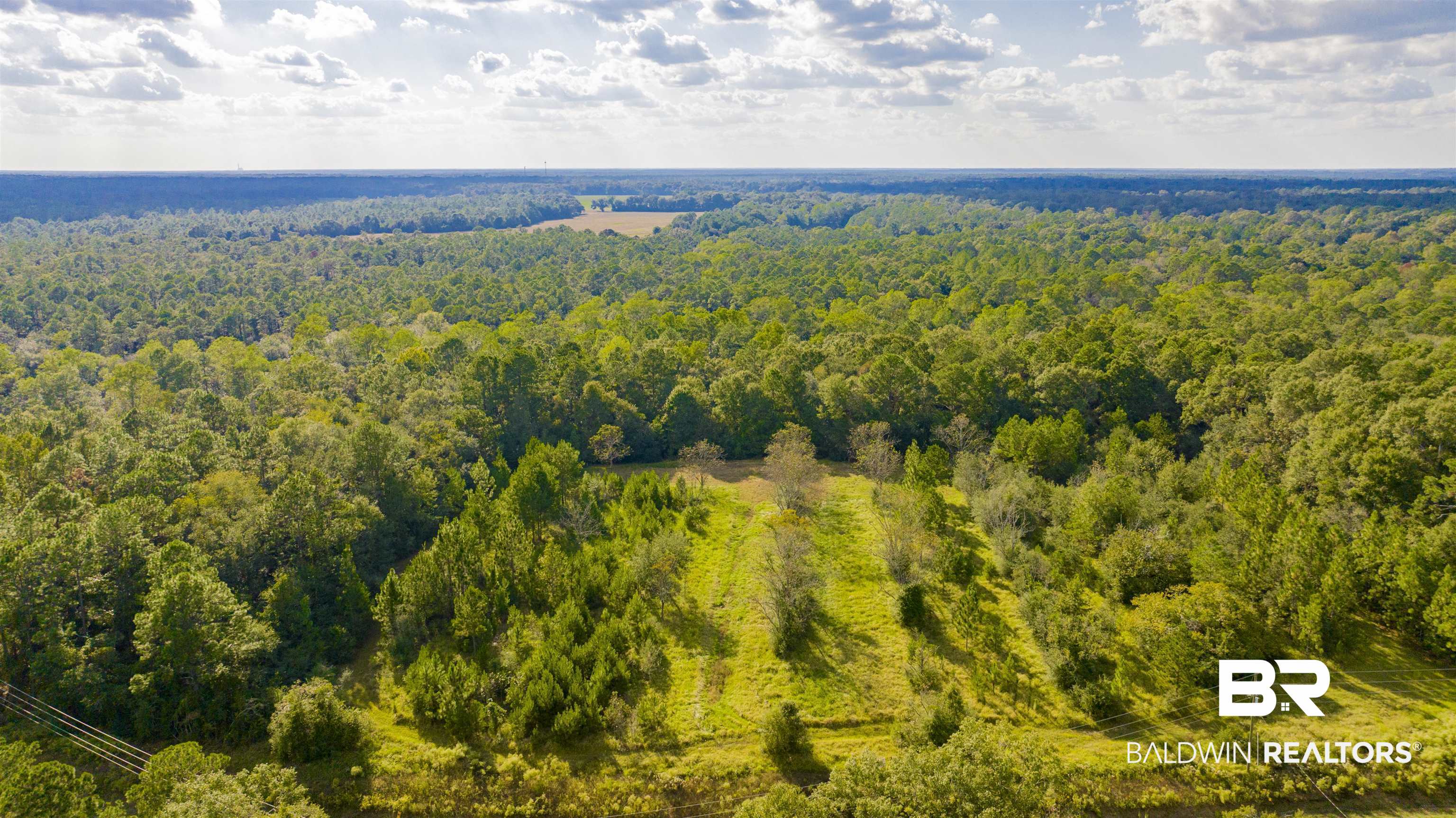 0 West Johnson Road South Mobile, AL 36695 - Photo 5 of 8