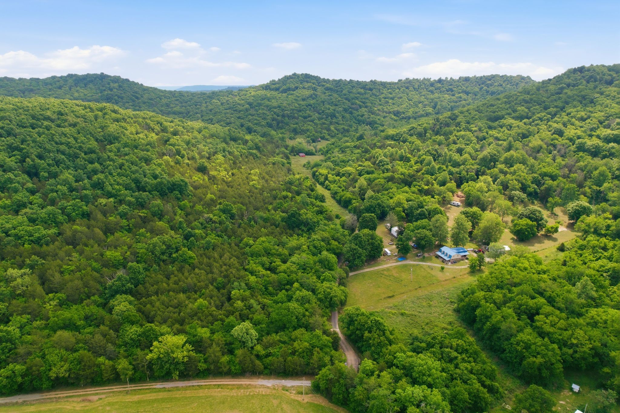 1780 Chumley Hollow Road Watertown, TN 37184 - Photo 2 of 14 a view of a lush green forest with a house