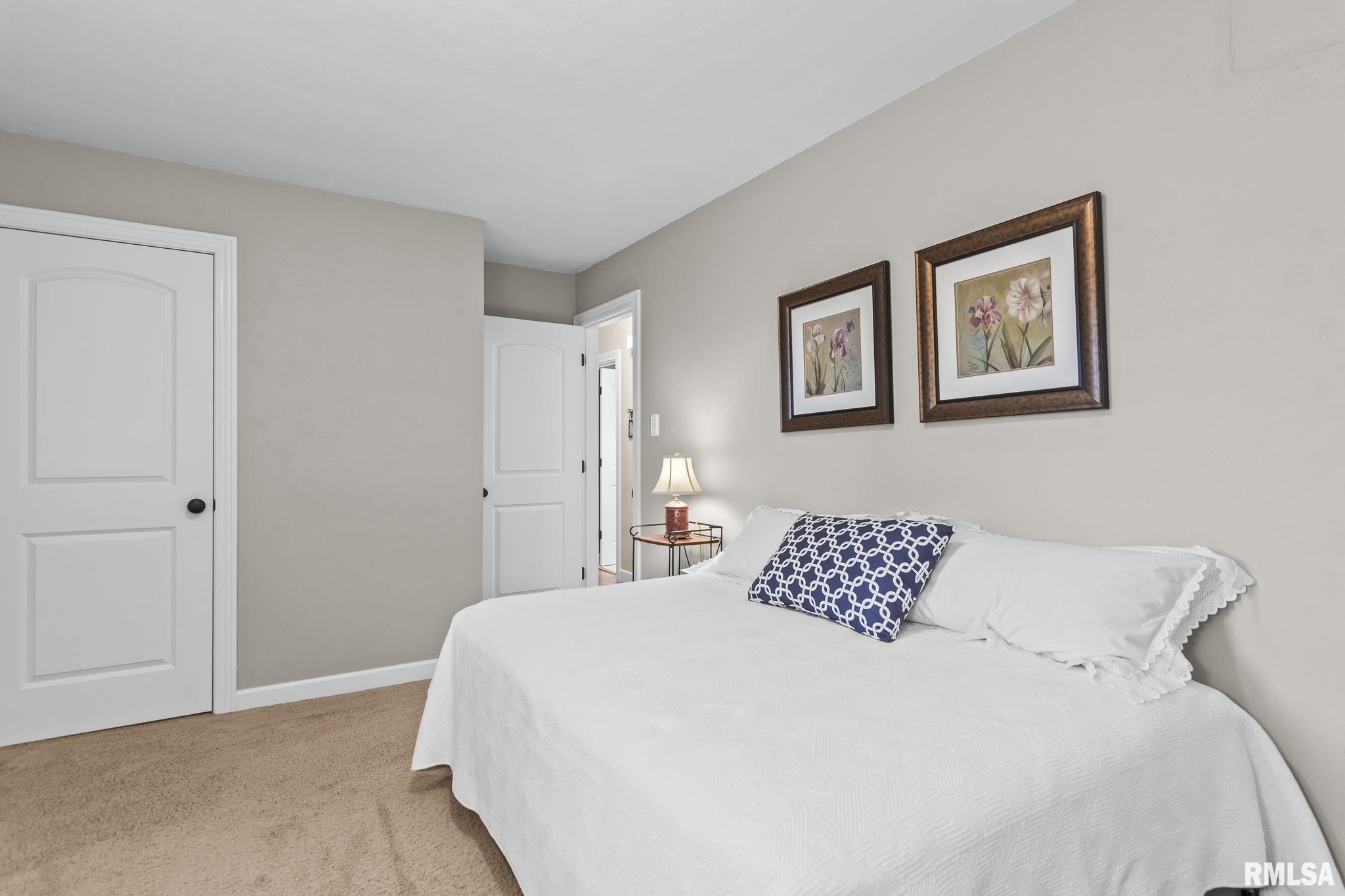 56 Bonnie Brook Road Chatham, IL 62629 - Photo 26 of 31 Gallery Image 26