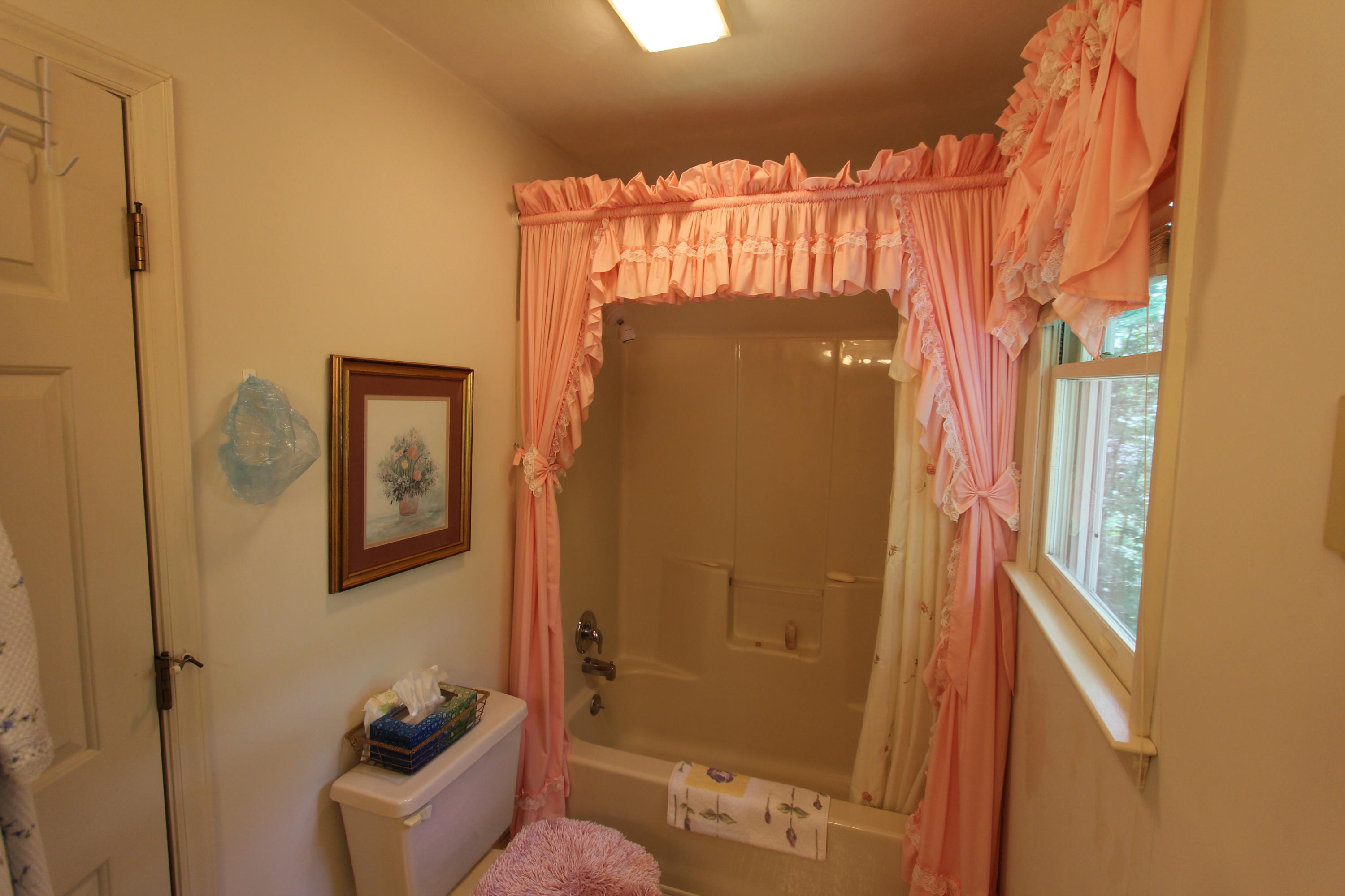 13173 Hardy Road Hardy, VA 24101 - Photo 12 of 14 a bathroom with a shower