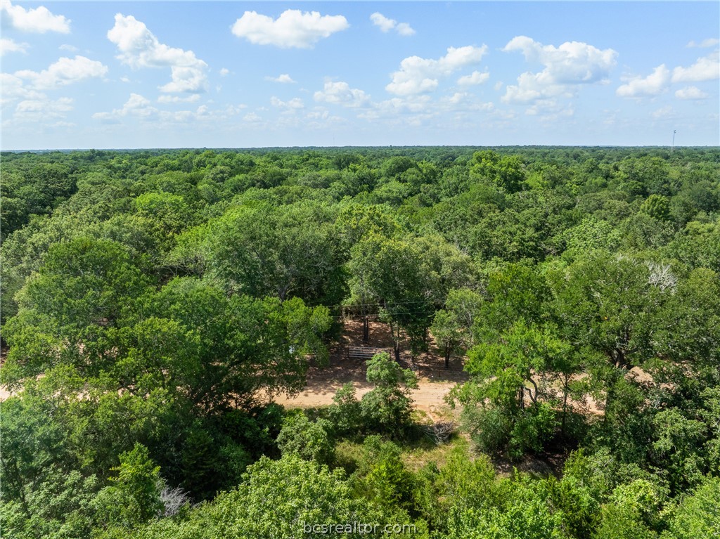 Tbd Weber Road Bryan, TX 77808 - Photo 34 of 43