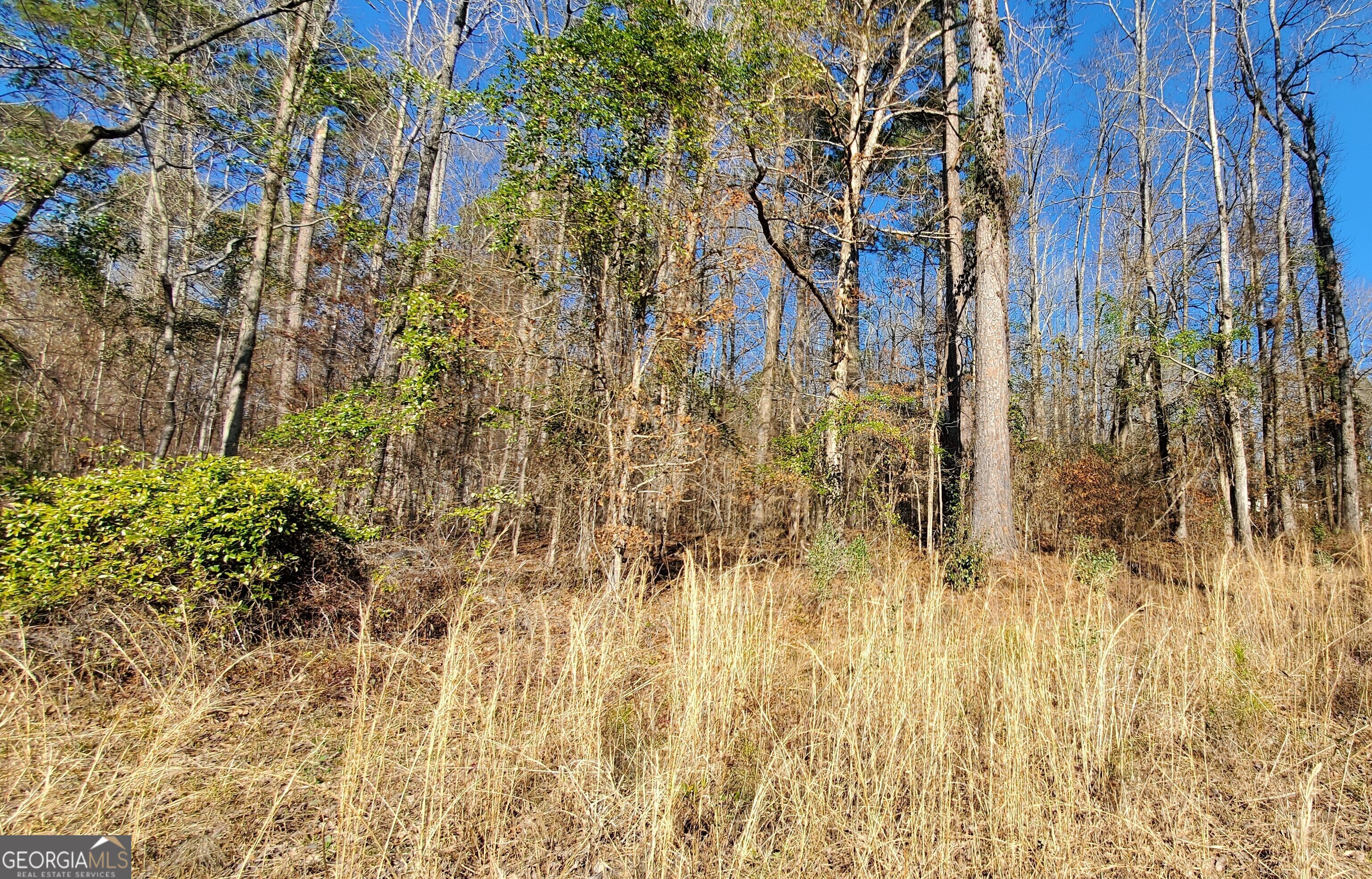 Lot 184 Southern Shores Road Jackson, GA 30233 - Photo 11 of 16 a view of a yard of the building