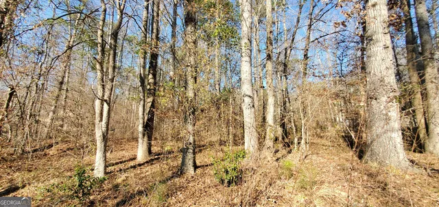 a view of a pathway of a yard